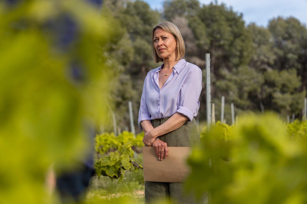a person standing in a vineyard holding a folder