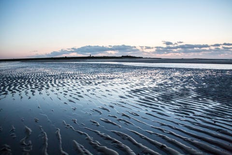 NieuwvlietAls je vanaf de Noordzee de kust van Nederland wil bereiken en je kiest voor het stuk land dat het diepst de zee insteekt dan zet je voet aan wal in ZeeuwsVlaanderen In natuurgebied Het Zwin dat de grens met Belgi markeert en waar twee keer per dag een flinke hoeveelheid zeewater naar binnen stroomt Volg je de kustlijn naar het noorden dan vind je nog een intergetijdengebied net buiten Nieuwvliet De Verdronken Zwarte Polder Een paradijs voor vogels die broeden tussen slikken en schorren