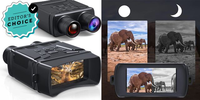 Steak Phone Case 360 Degree Full Protection Lens Film - Temu