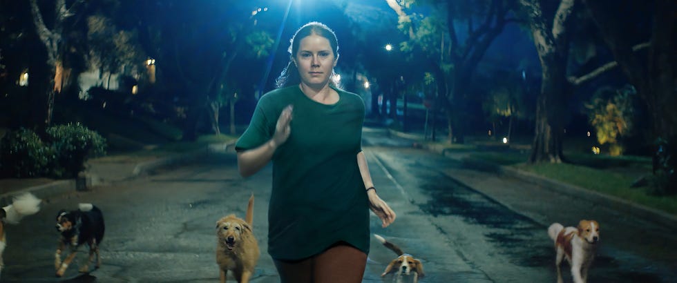 nightbitch amy adams film still