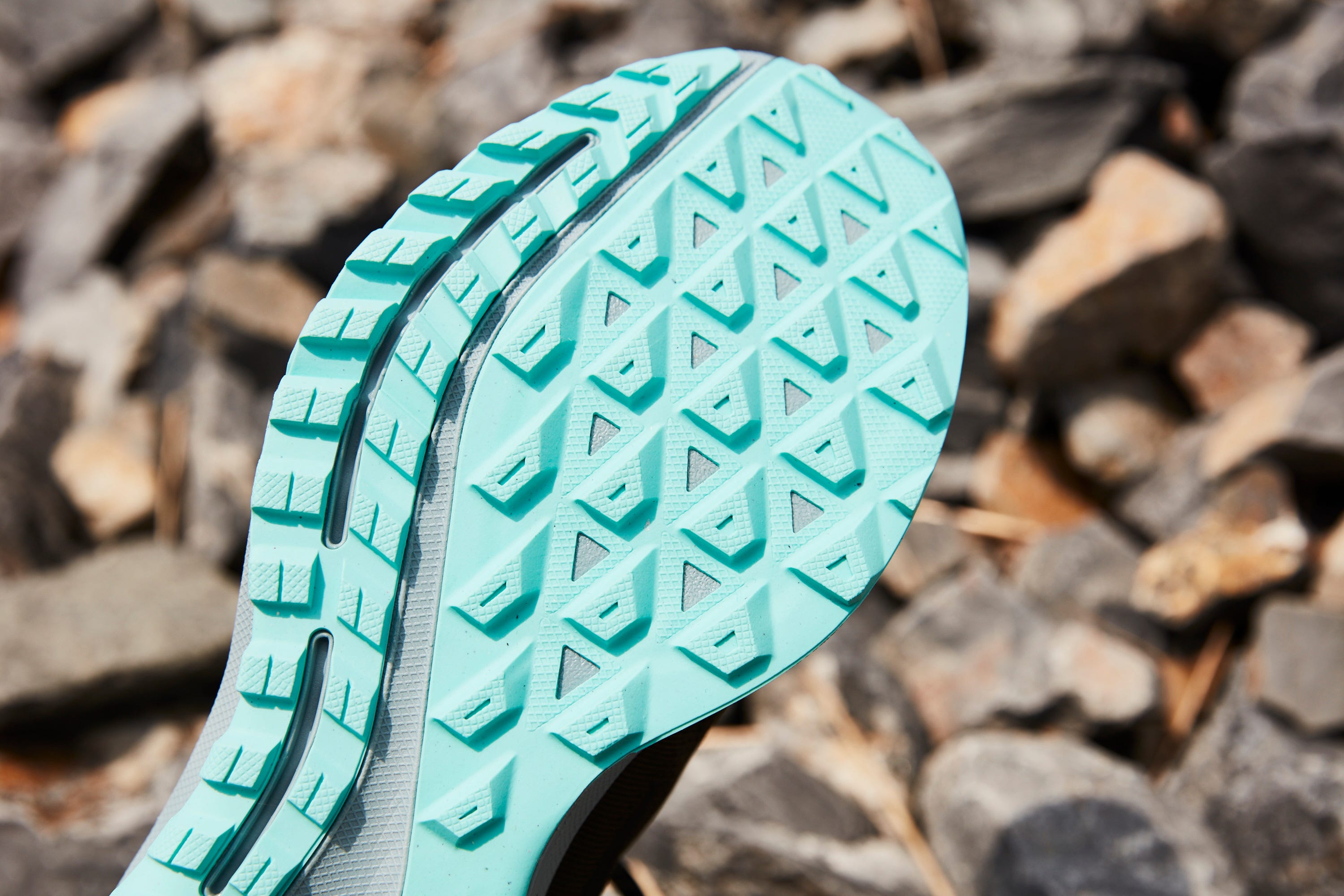 Green, Blue, Turquoise, Leaf, Footwear, Close-up, Plant, Adaptation, Shoe, Rock, 