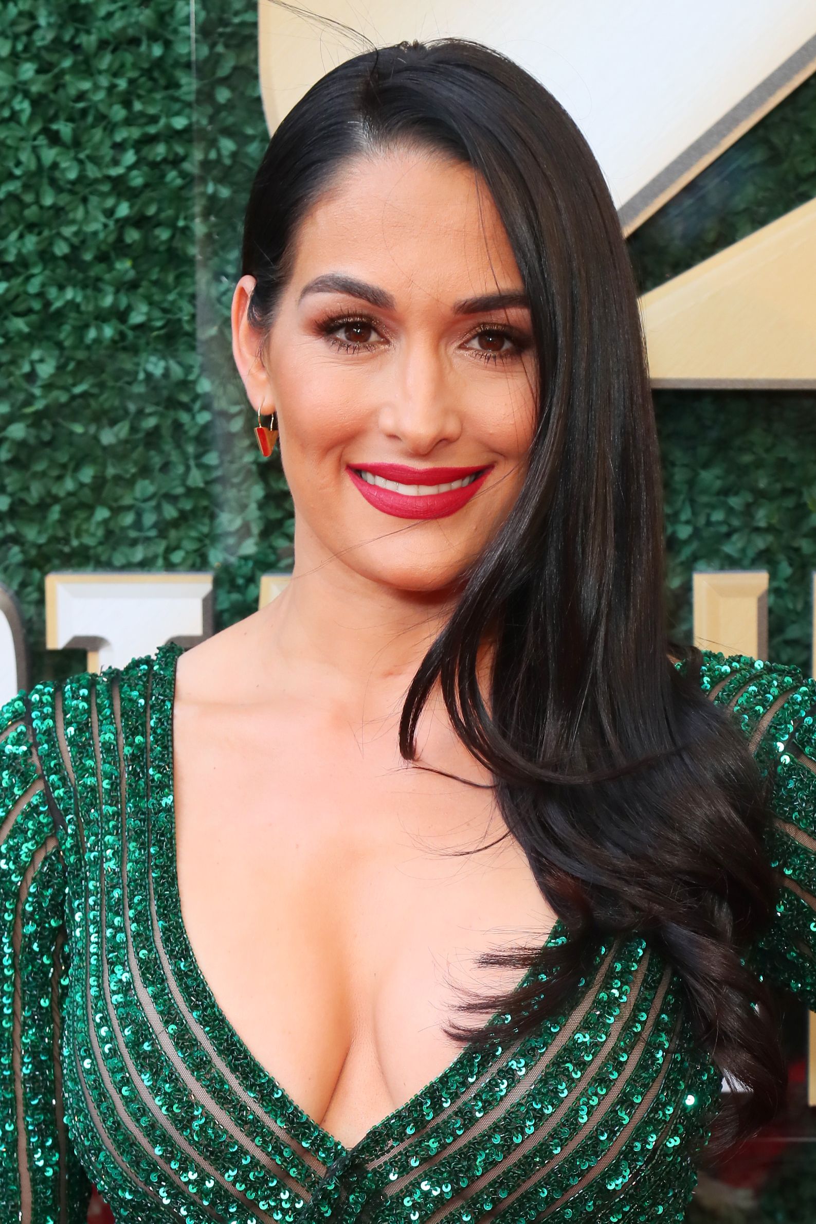 Wwe Sex Nikhi Bella Hd - Nikki Bella Is Officially Retiring From Wrestling And The WWE