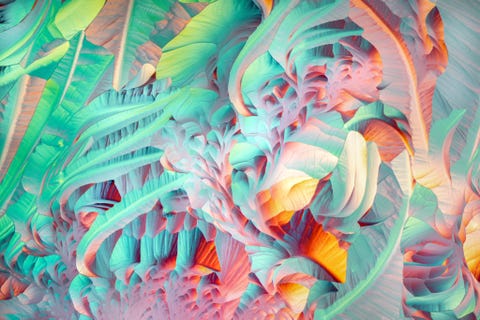 Dit is net een abstract schilderij van Georgia OKeefe In dit beeld van de New Yorkse fotograaf Justin Zoll kronkelen kristallen die na verhitting van een oplossing van ethanol water en aminozuur zijn ontstaan voorzichtig om elkaar heen