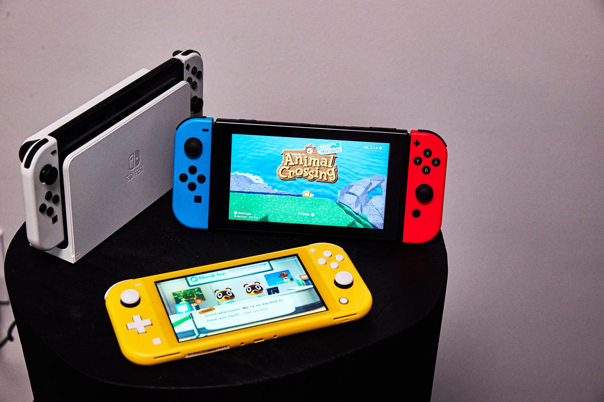 Nintendo Switch Versus Switch Lite