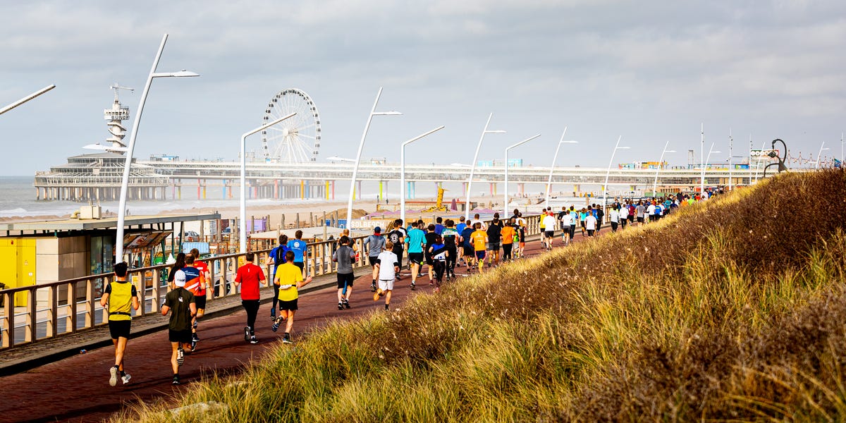 CityPierCity loop 2025 Alles over de CPCloop Den Haag City Pier City Loop 2025 Project