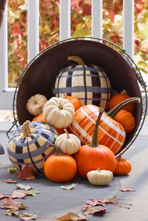 pumpkin decorating ideas rad in plaid pumpkins