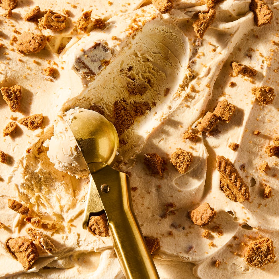 cookie butter flavore dice cream with biscoff cookie pieces