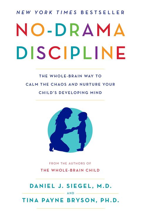no drama discipline parenting book