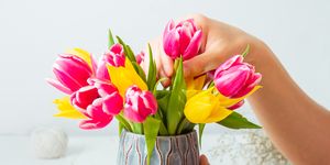 person arranging tulips in vase