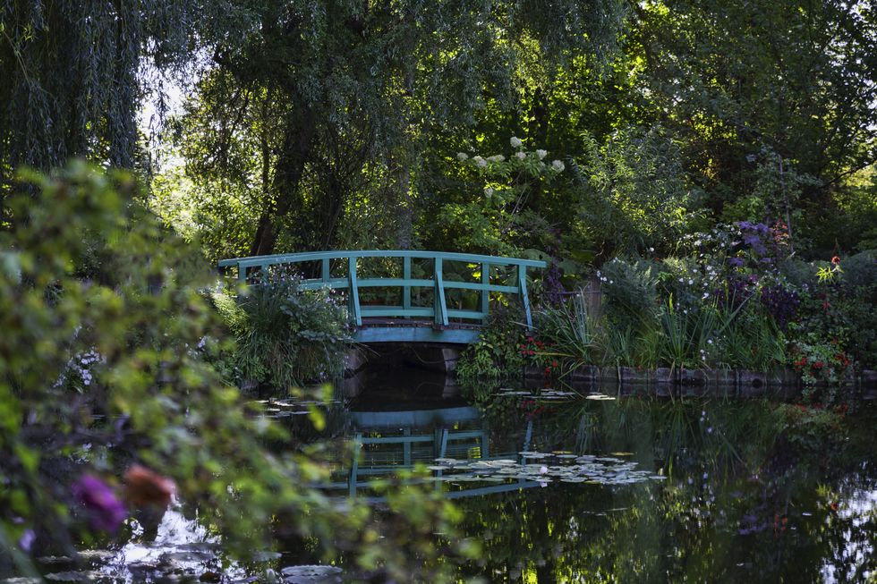 claude monet s garden and pond in giverny france famous from his paintings