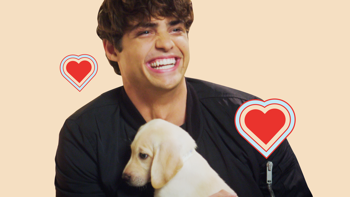 preview for Noah Centineo is The Perfect Boyfriend