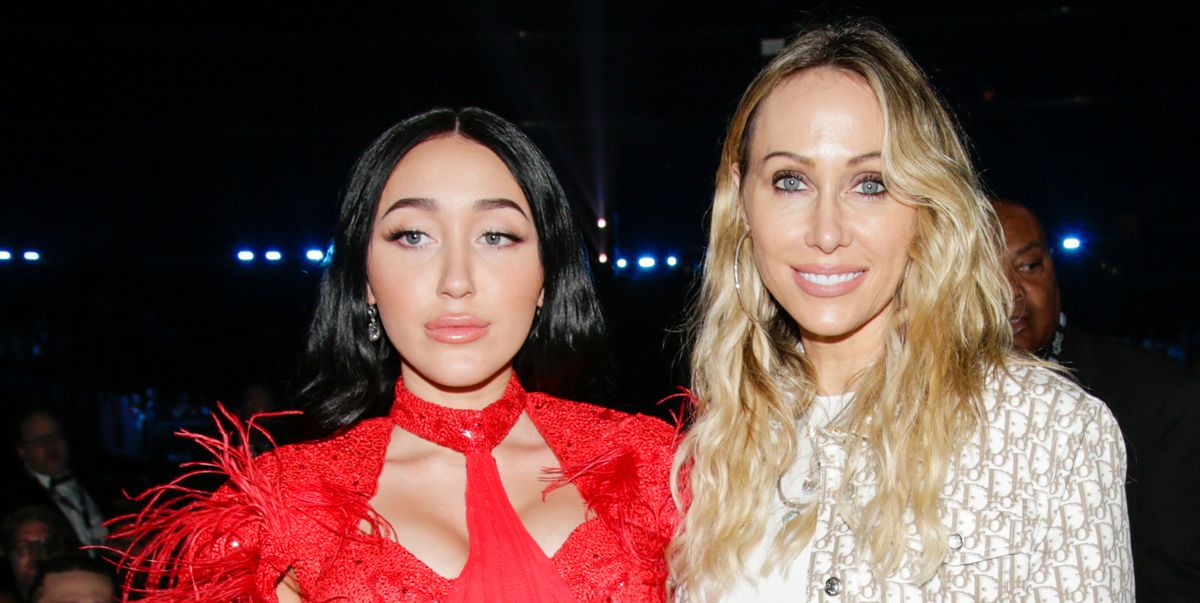 An 'Us Weekly' Source Says Tish Cyrus Stole Her Husband from Daughter Noah Cyrus
