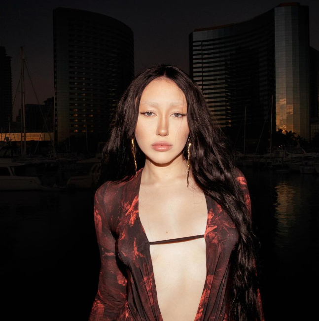 Noah Cyrus poses topless in just a denim jacket