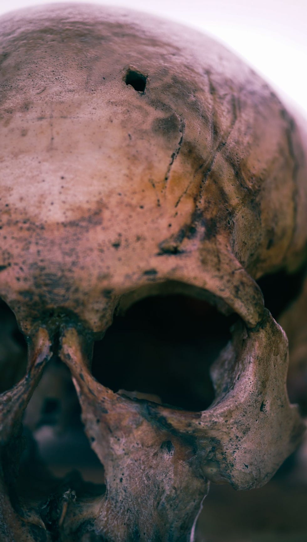 Archeologen ontdekten een ruitvormige wond  waarschijnlijk van een pijlpunt  in de schedel van een jongeman die zon tweeduizend jaar geleden in Tunnug 1 in Siberi werd begraven Onderzoekers denken dat de fysieke verwondingen die ze in Tunnug 1 hebben aangetroffen waarschijnlijk getuigen van de interne onrust die de steppensamenleving teisterde na de ineenstorting van het rijk van de Xiongnu