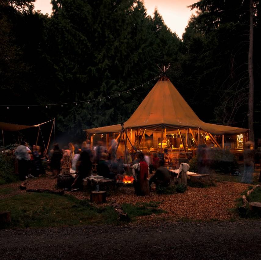 best gift experiences nomadic foraging and dining in forest
