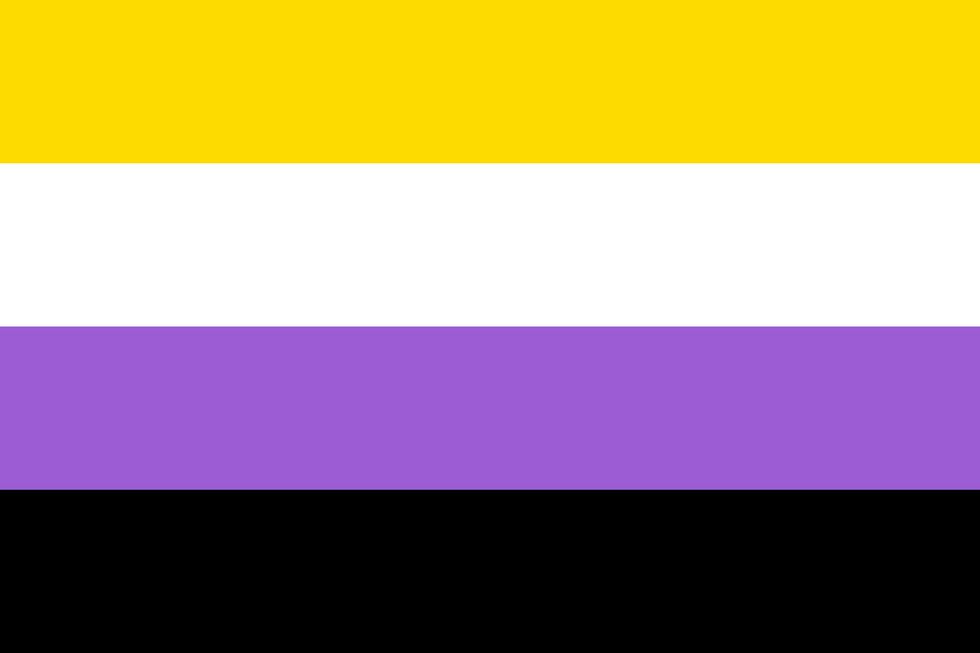 pride flag meanings non binary pride community flag