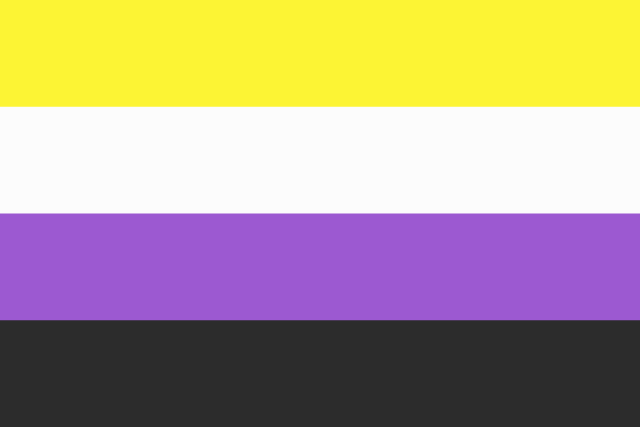 bandera de género no binario