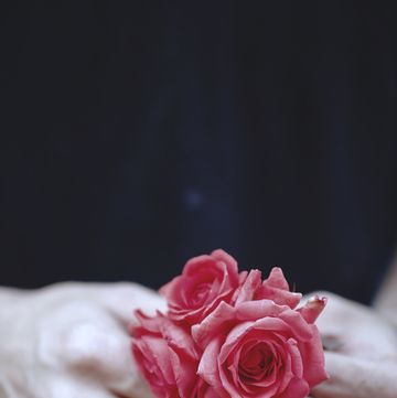Pink, Hand, Nail, Garden roses, Flower, Petal, Rose, Finger, Rose family, Plant, 