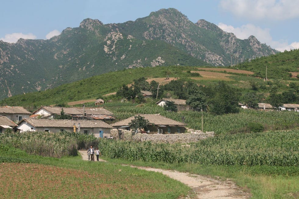 Het platteland van NoordKorea Foto Koning Aap