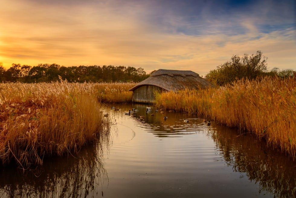 norfolk broads in autumn