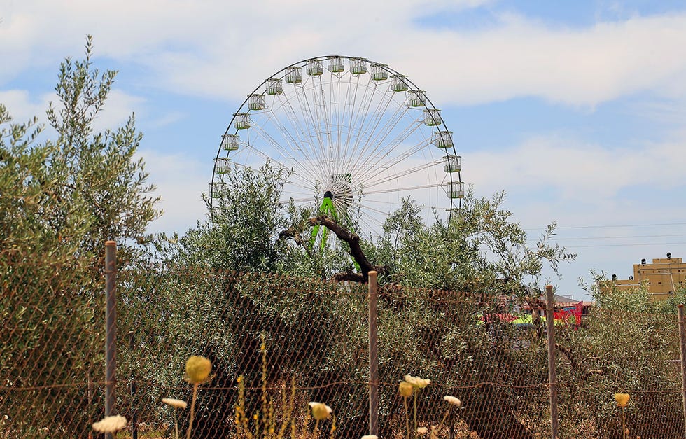 Ferris wheel, Sky, Tourist attraction, Tree, Amusement park, Recreation, Fun, Cloud, Wheel, Urban area, 