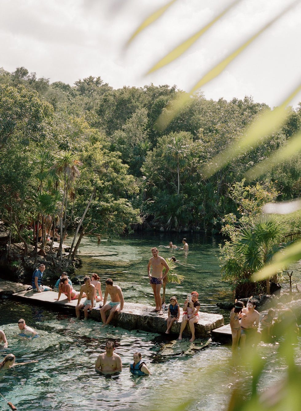guests take a break between events at a wedding to go swimming in the mangroves near tulum
