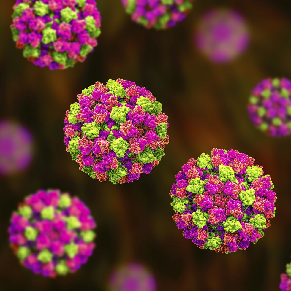 諾羅病毒是什麼？傳染力極強，嚴重腹瀉、發燒都是常見症狀，日常5件事預防感染