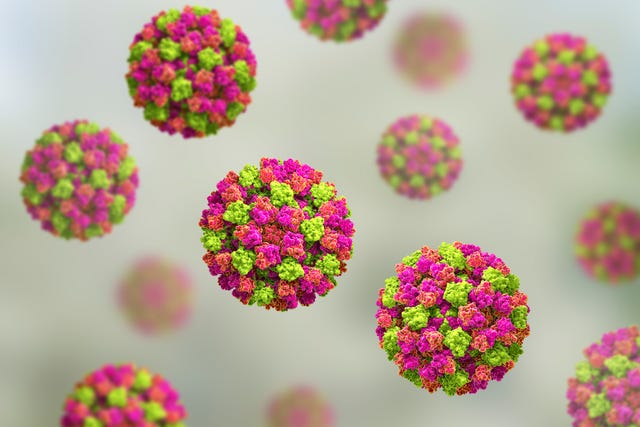 the norovirus is striking many people
