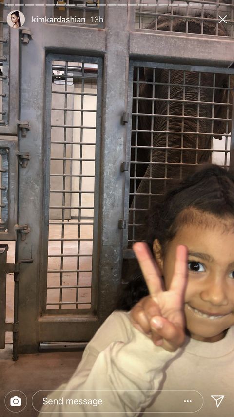 north west peace sign 