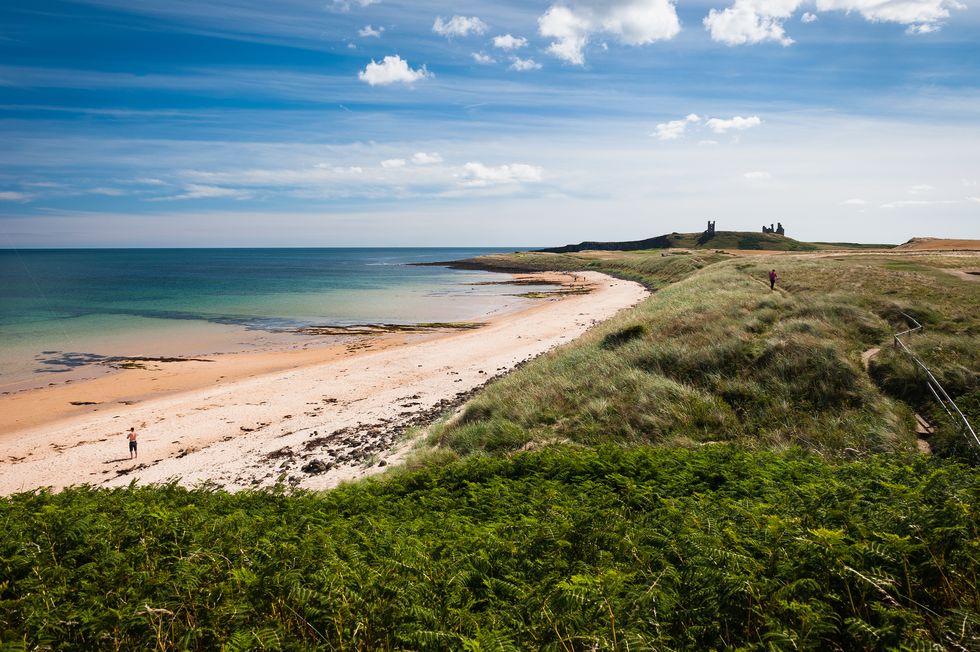 a man stands on a tranquil beach with dunstanburgh castle on the horizon, northumberland coast path, northumberland, england august 9, 2018