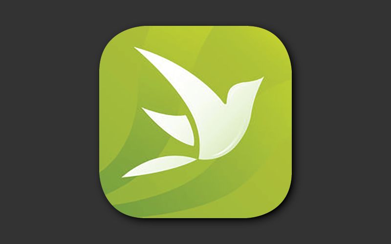 Green, Logo, Leaf, Font, Technology, Graphics, Icon, Plant, Symbol, Trademark, 