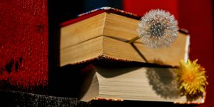 novel books with yellow and fluffy dandelion flowers for bookmarks