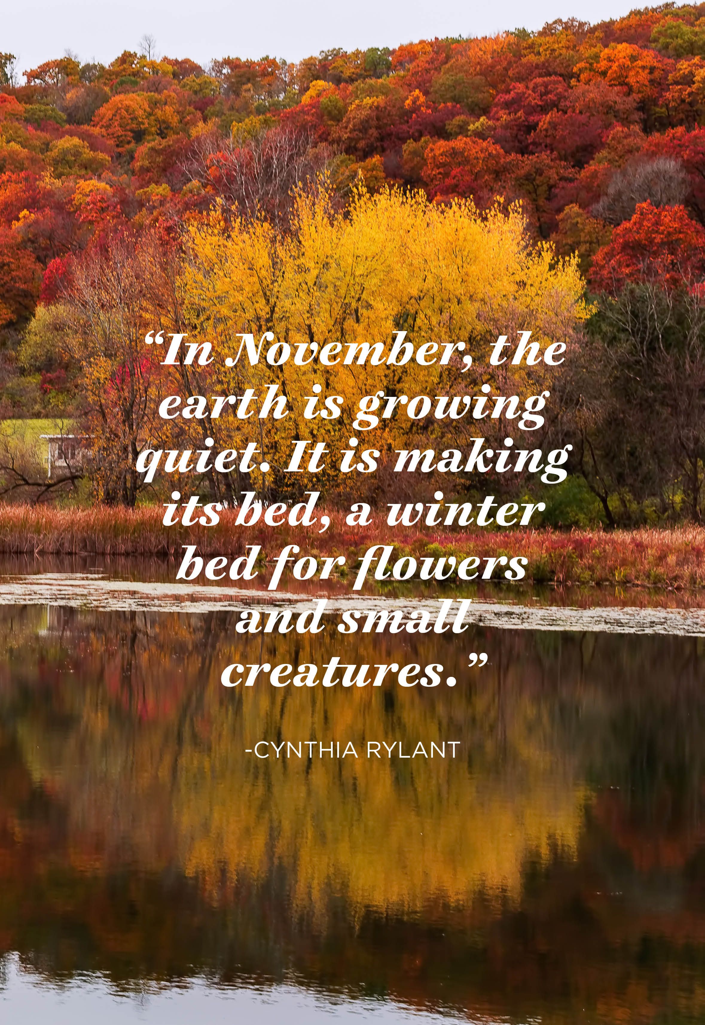 40 Inspiring November Quotes for Fall's Coziest Month