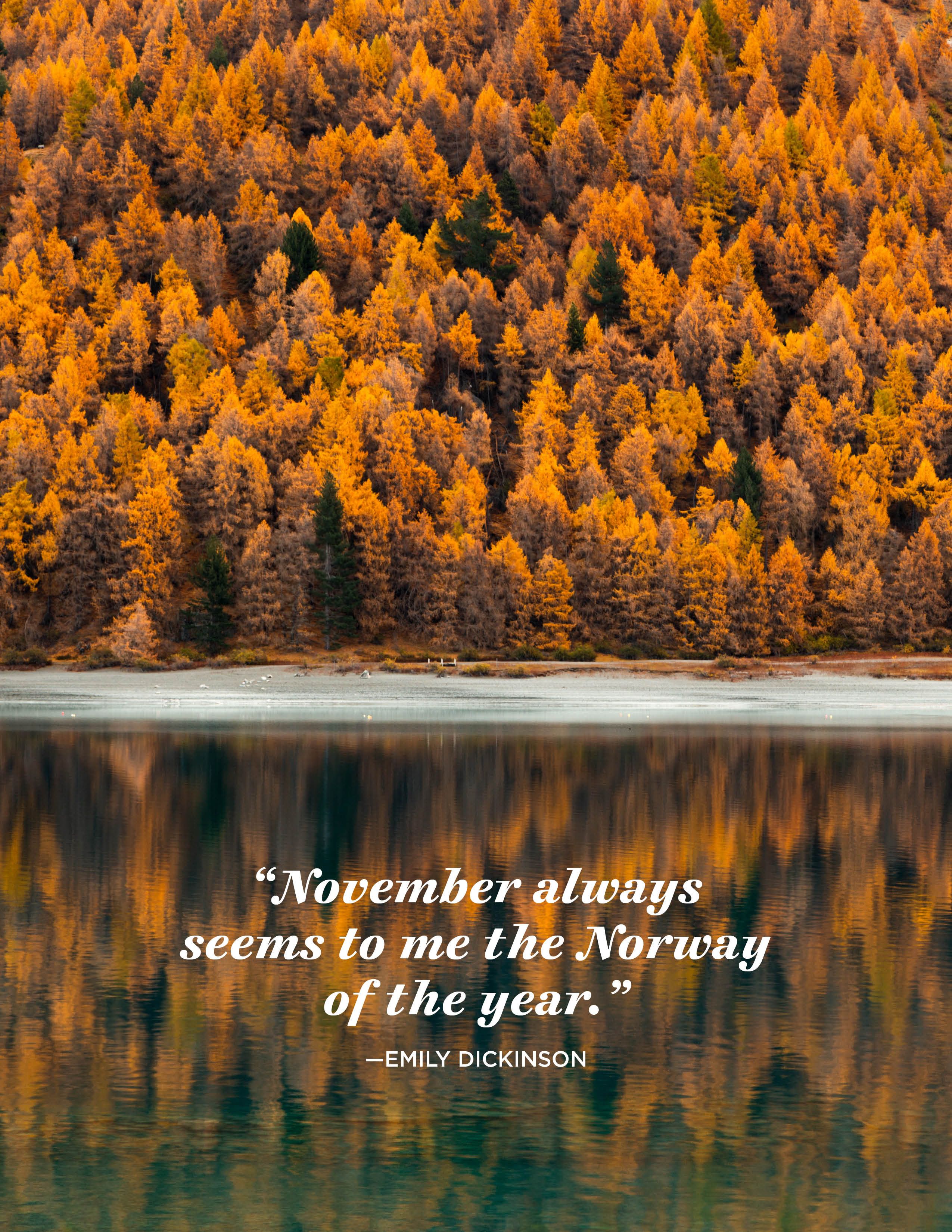 24 Inspiring November Quotes - Famous Sayings and Quotes about November