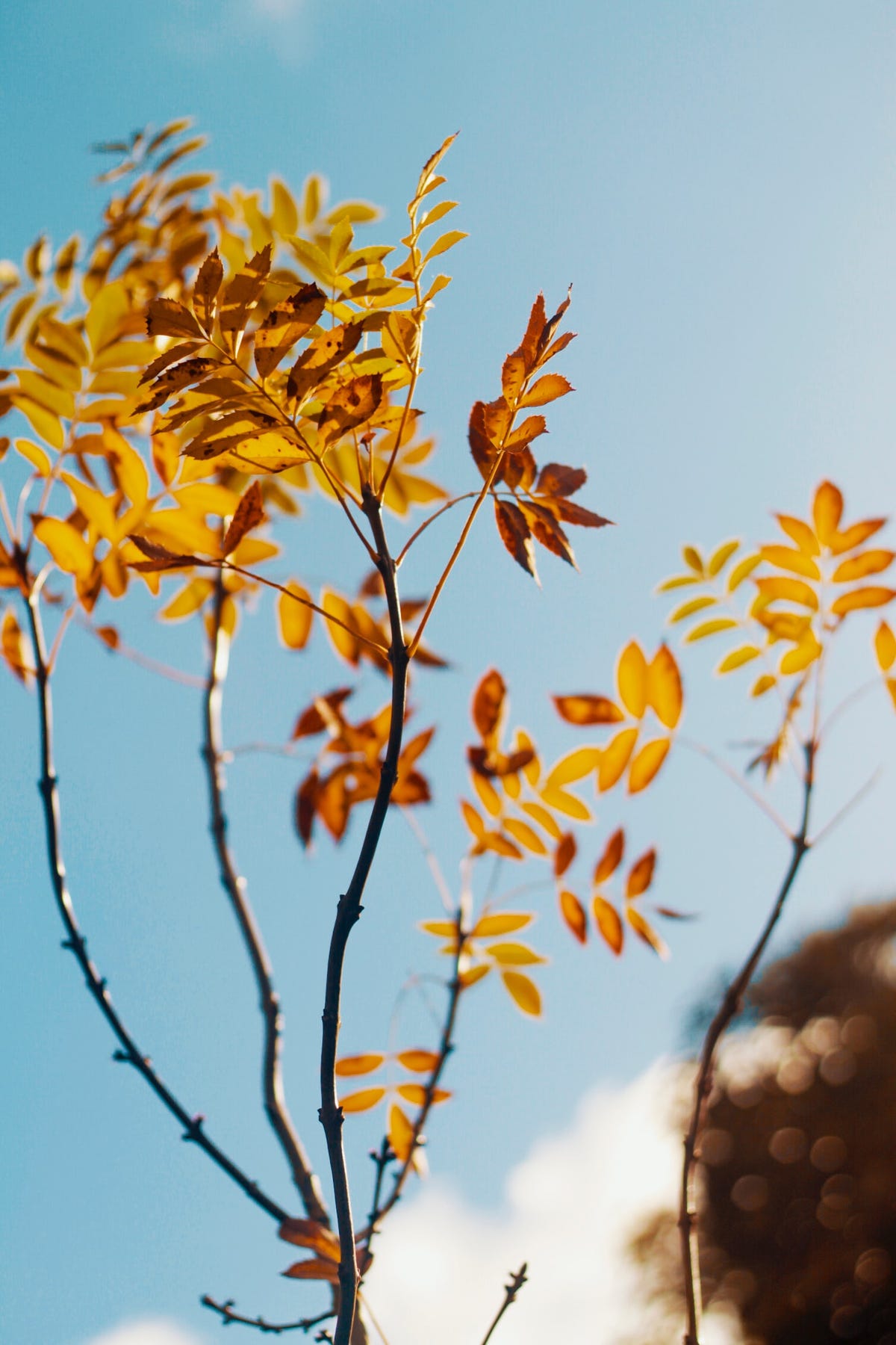 Le novità beauty di ottobre