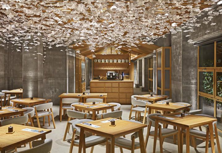 Nozomi sushi discount