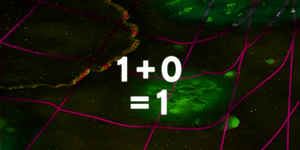the equation one plus zero equals zero over a green background