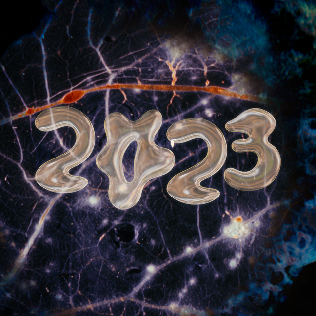 the numbers 2023 in squiggly silver lines over a background of blues, purples, and reds