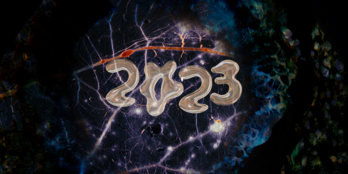 Numerology Of 2023 1671640590 ?crop=1xw 0.9953703703703703xh;center,top&resize=1200 *