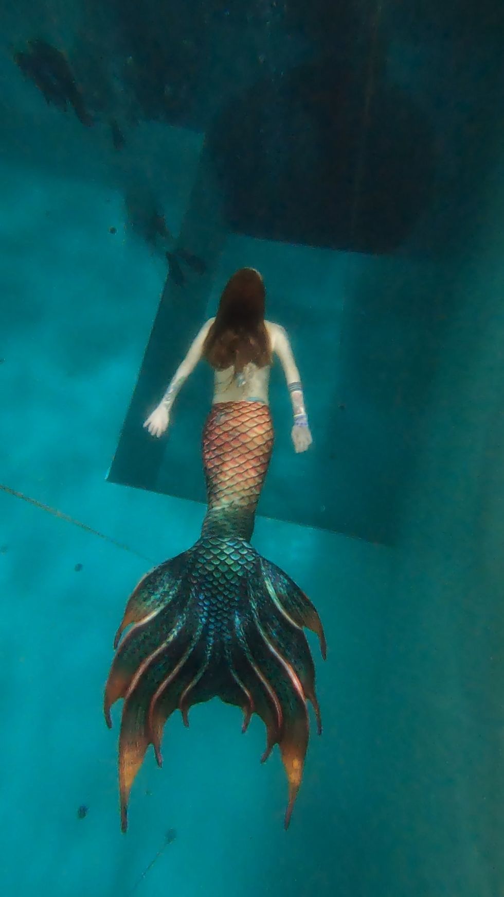 Nuotare come le sirene, cos'è lo sport per grandi Mermaiding