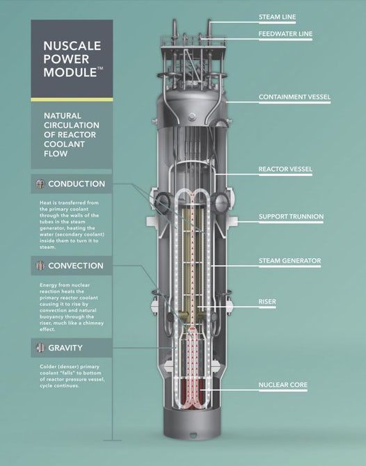 nuscale reactor