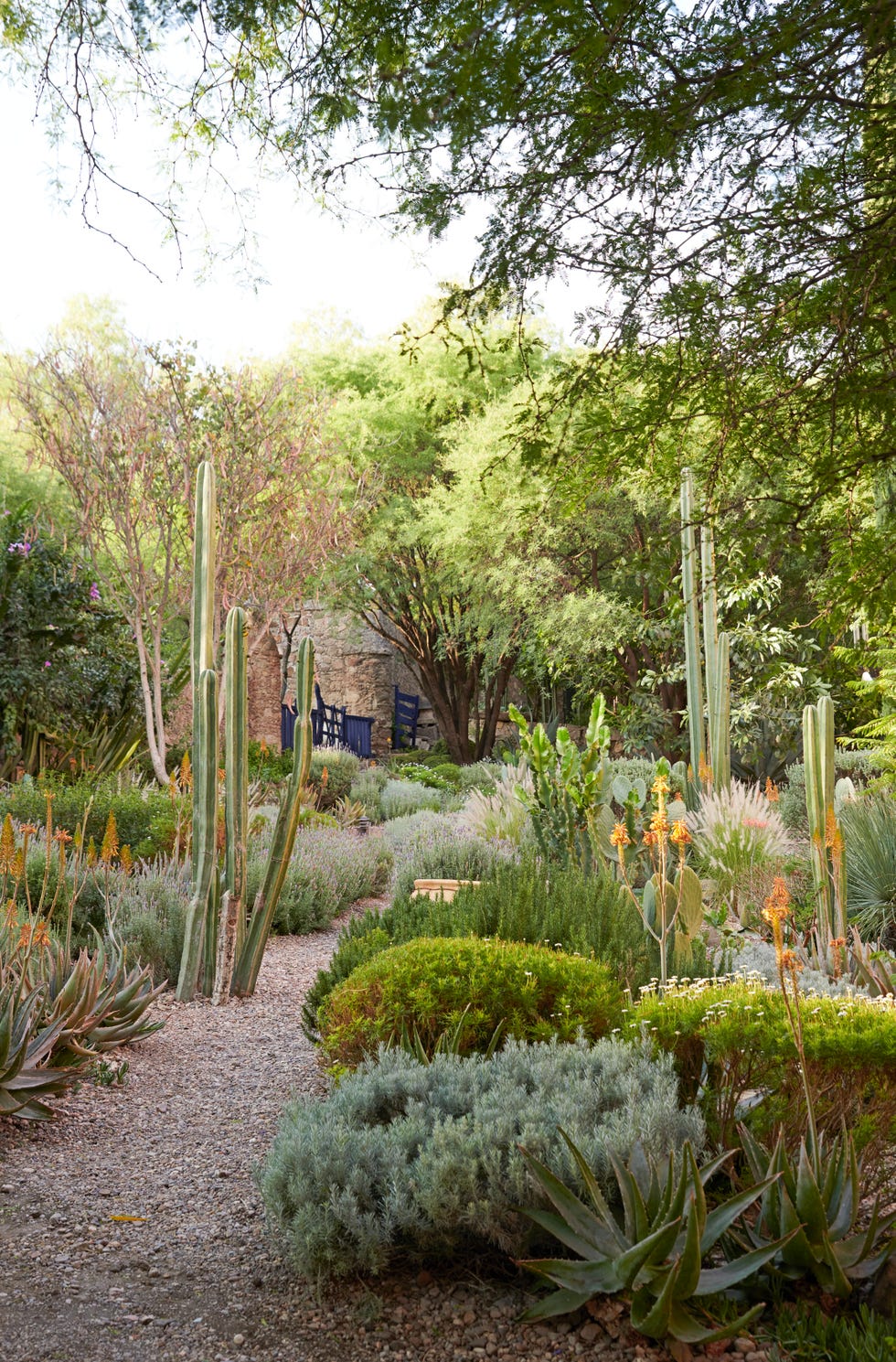 Tour Michelle Nussbaumer's San Miguel de Allende Garden