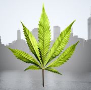 new york legalizes weed