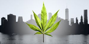new york legalizes weed