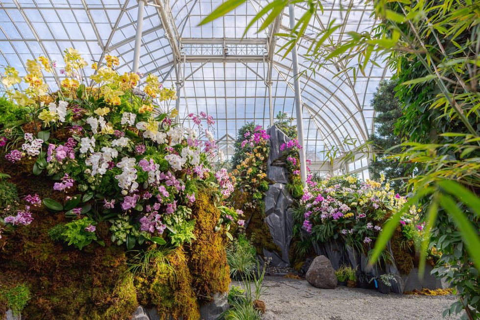 lily kwong new york botanical garden 2023