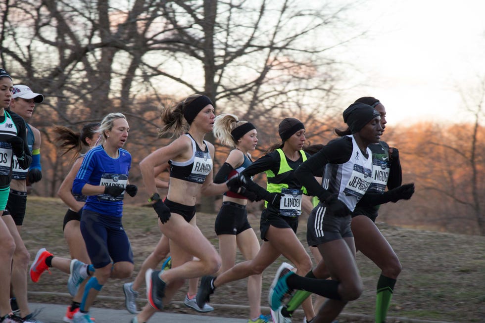 NYC Half