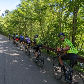 a line of cyclists on a backroad lined with trees