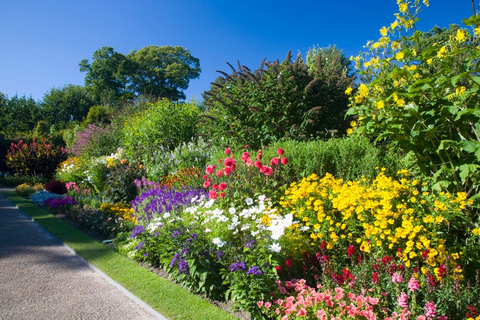 Nymans Garden