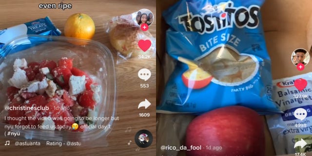tiktok nyu qurantine