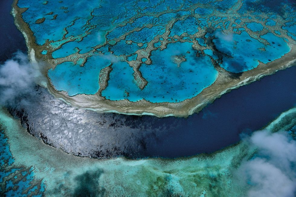 Hardy Reef is een van de duizenden riffen die samen het Australische Great Barrier Reef vormen de grootste structuur op aarde die werd gebouwd door levende organismen Er komen volop sponzen op voor die zon 600 miljoen jaar geleden voor het eerst in zee opdoken Het delicate ecosysteem wordt nu bedreigd door menselijke activiteiten